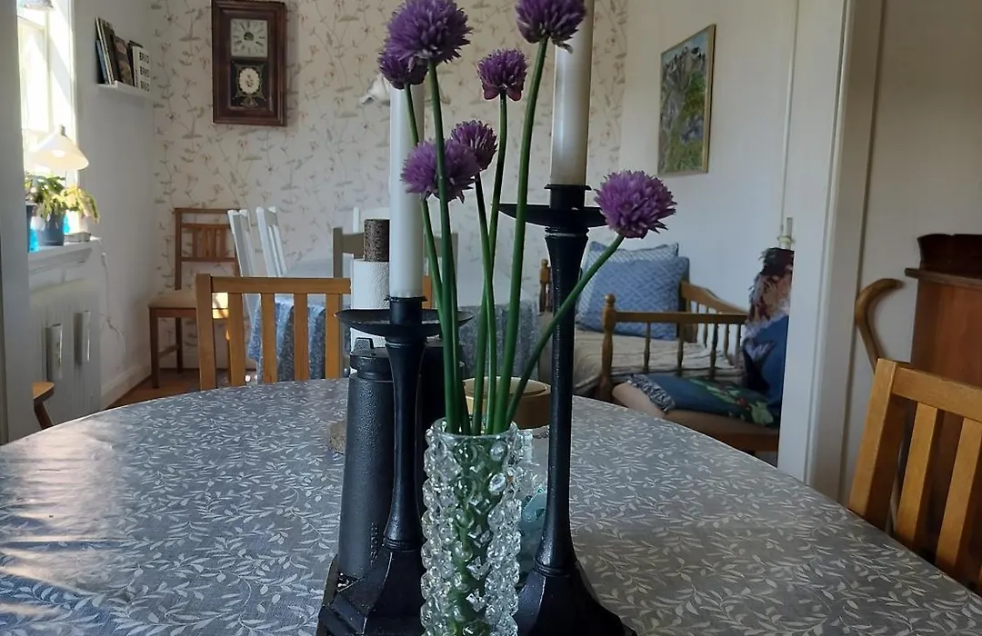 Pilane B&B-1